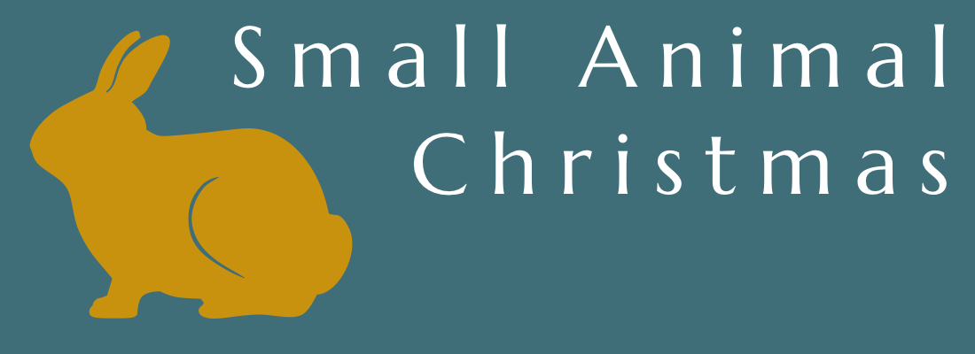 Small Animal Christmas
