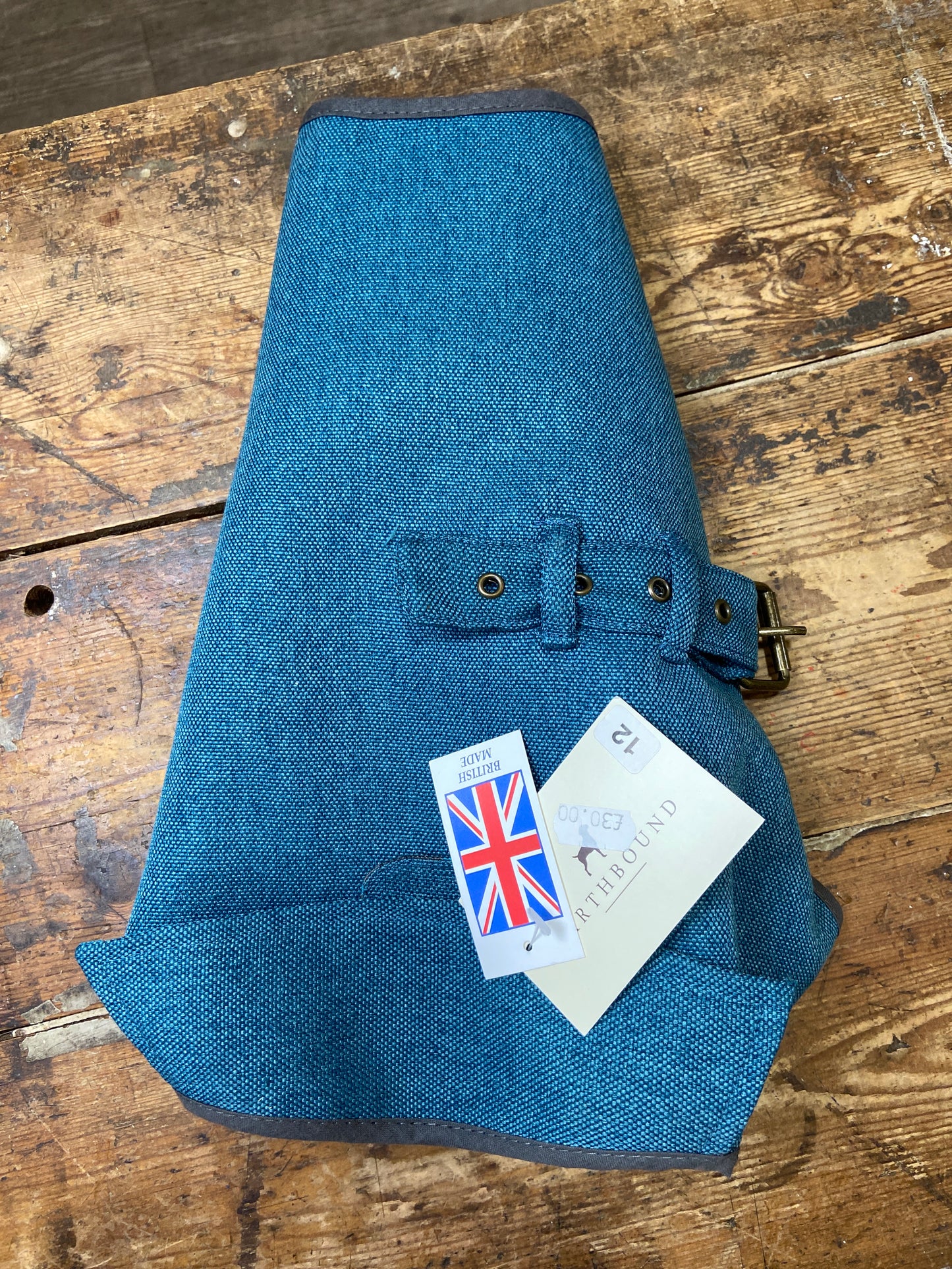 Earthbound, Camden Dog Coat, Teal
