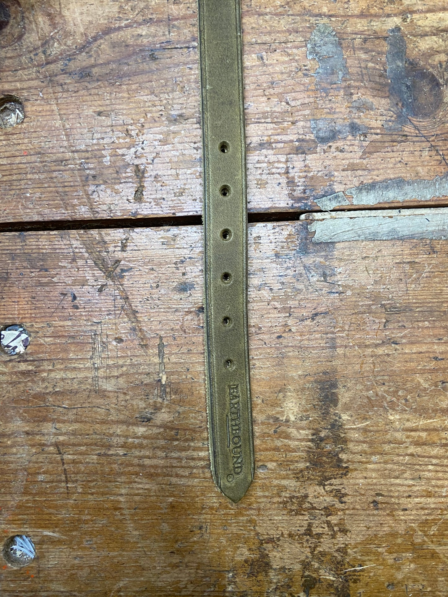 Earthbound, Soft Country Leather Collar, Green