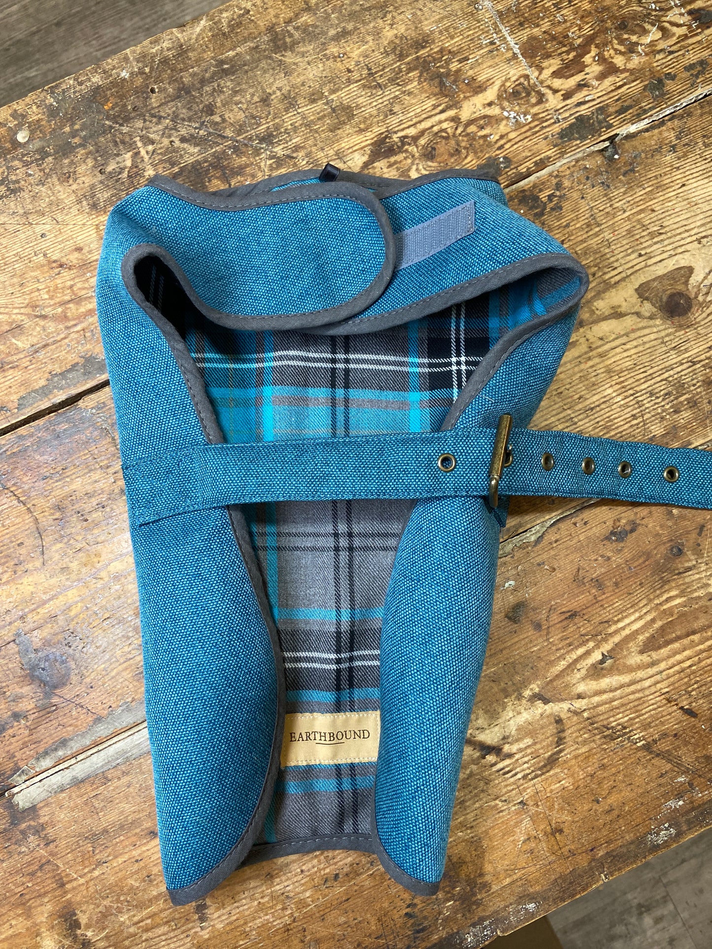 Earthbound, Camden Dog Coat, Teal
