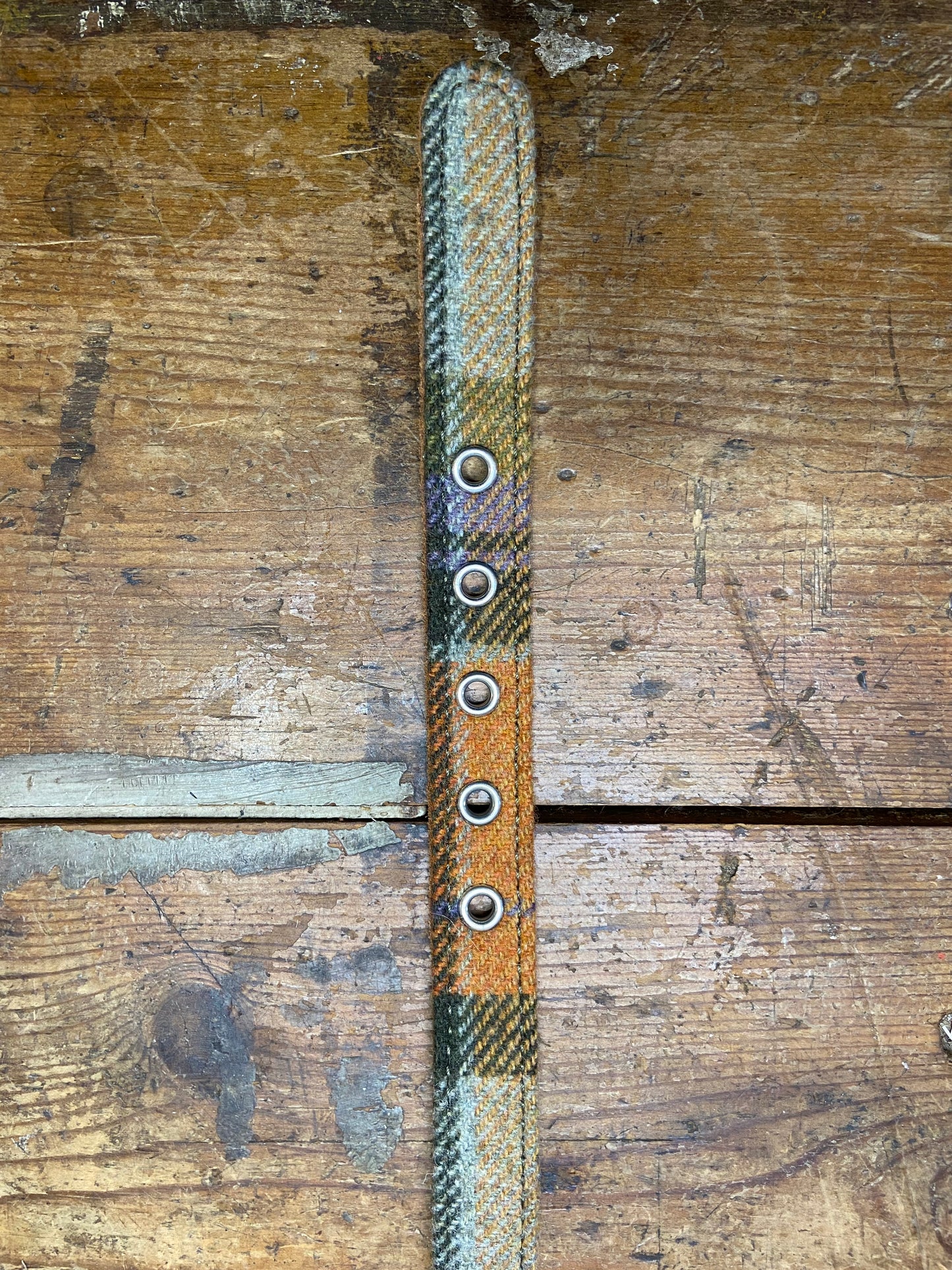 Earthbound, Tweed Collar, Orange Check