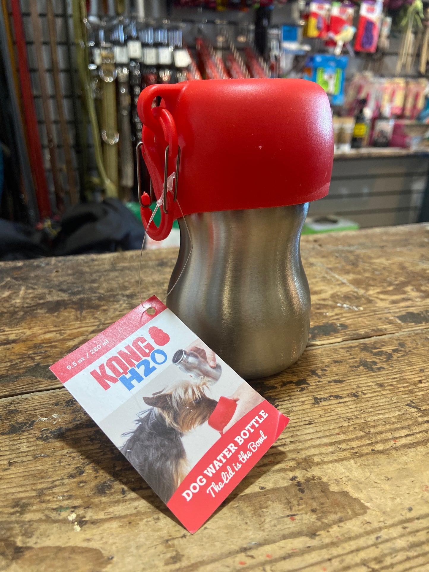 Kong, H2O Dog Water Bottle