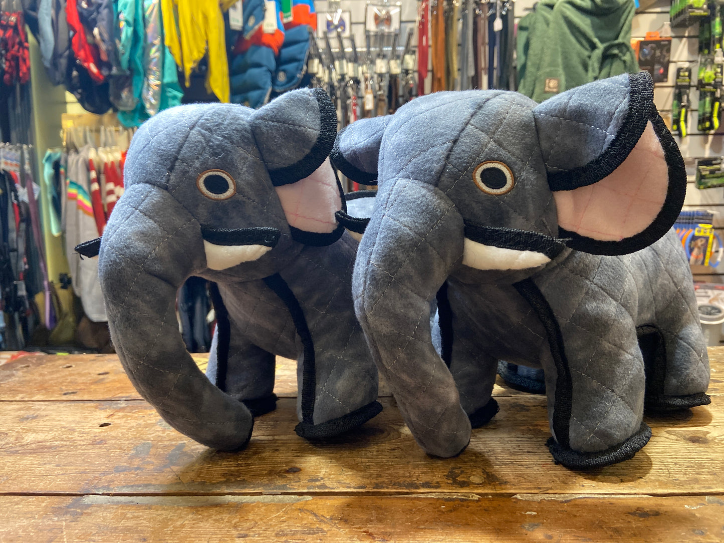 Tuffy, Elephant