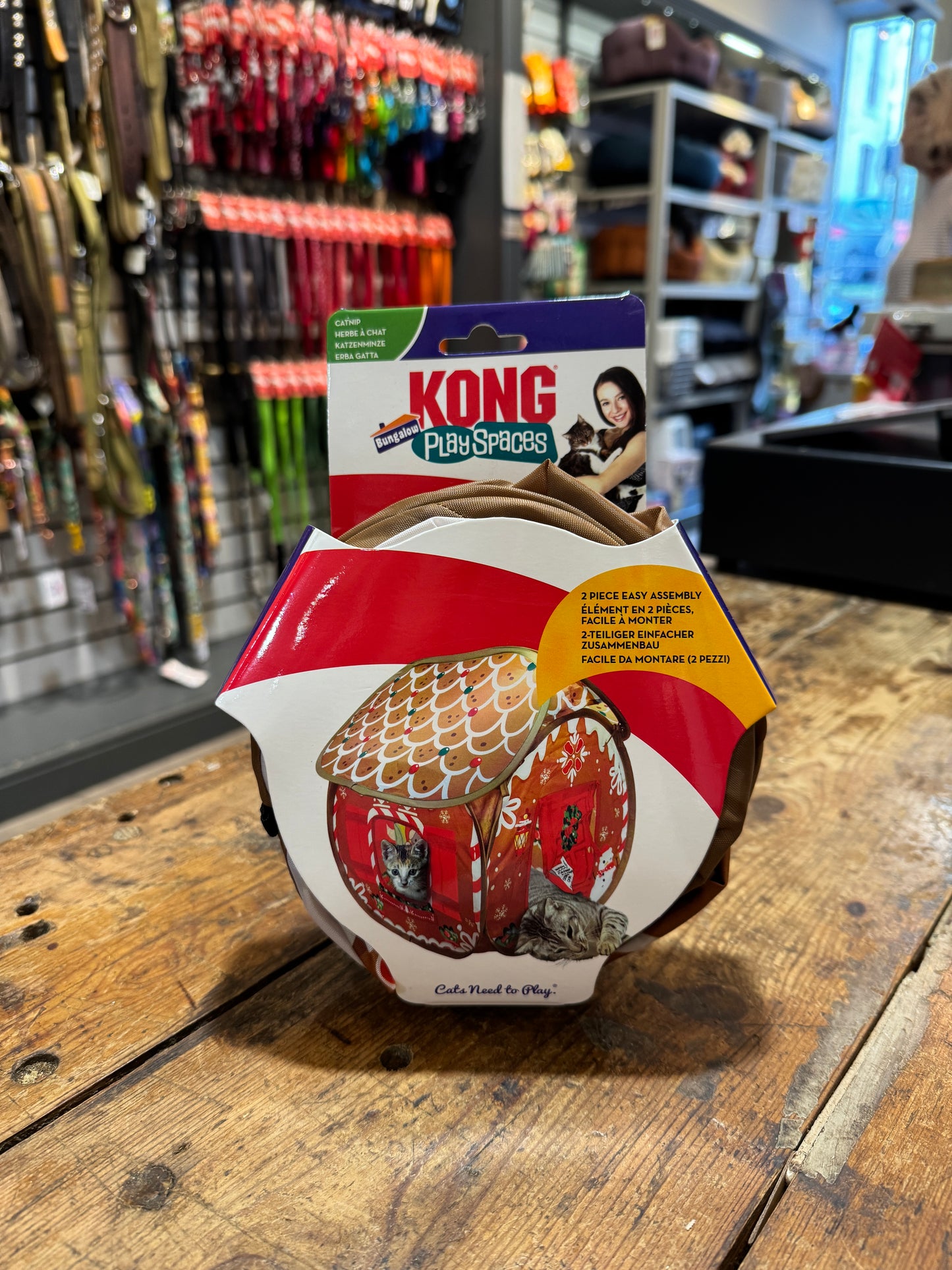Kong, Holiday, Playspaces, Gingerbread house