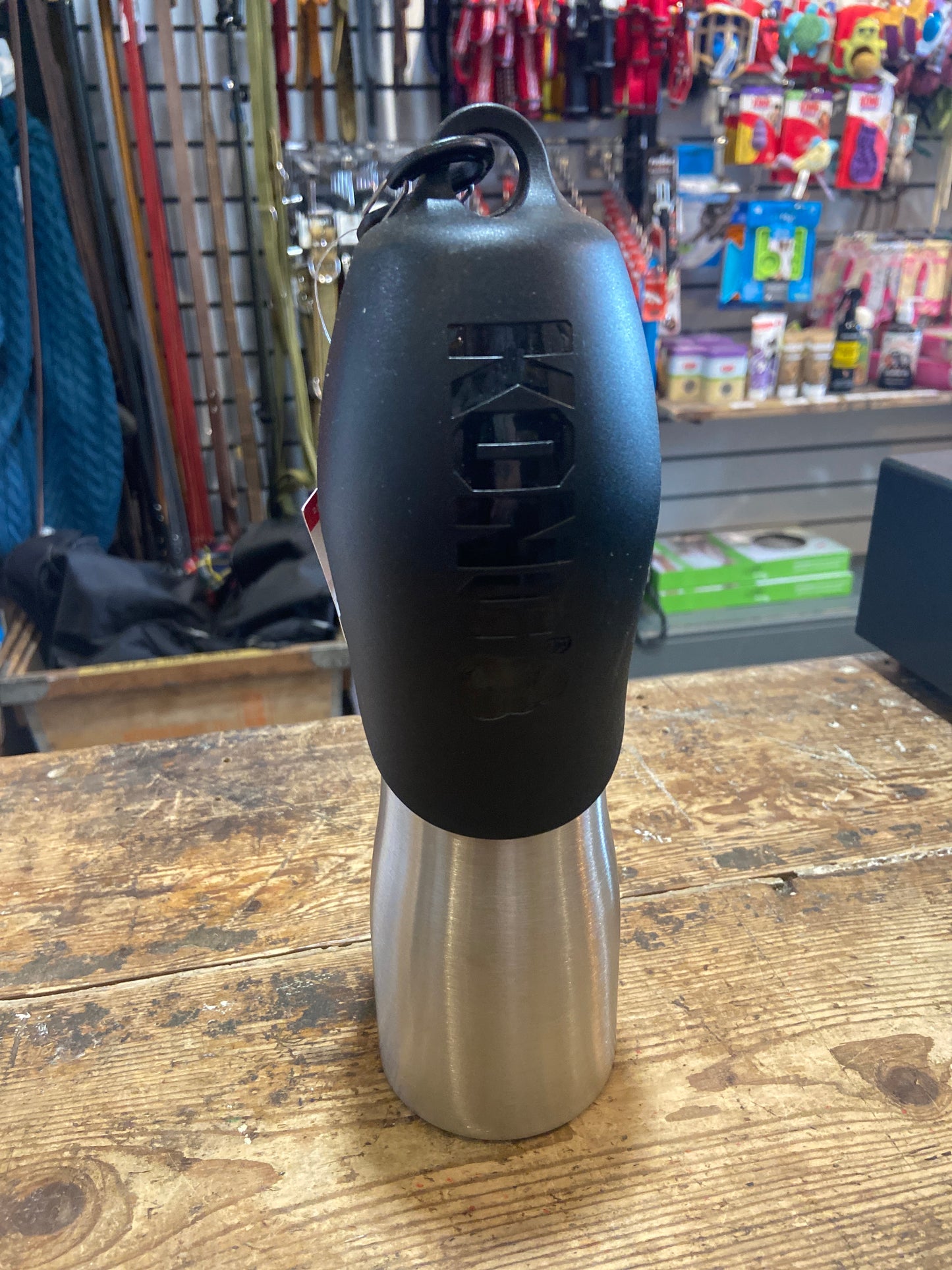 Kong, H2O Dog Water Bottle