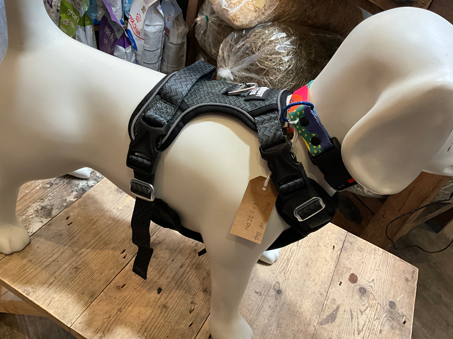 Twiggy Tags Adventure Harness, Petrichor