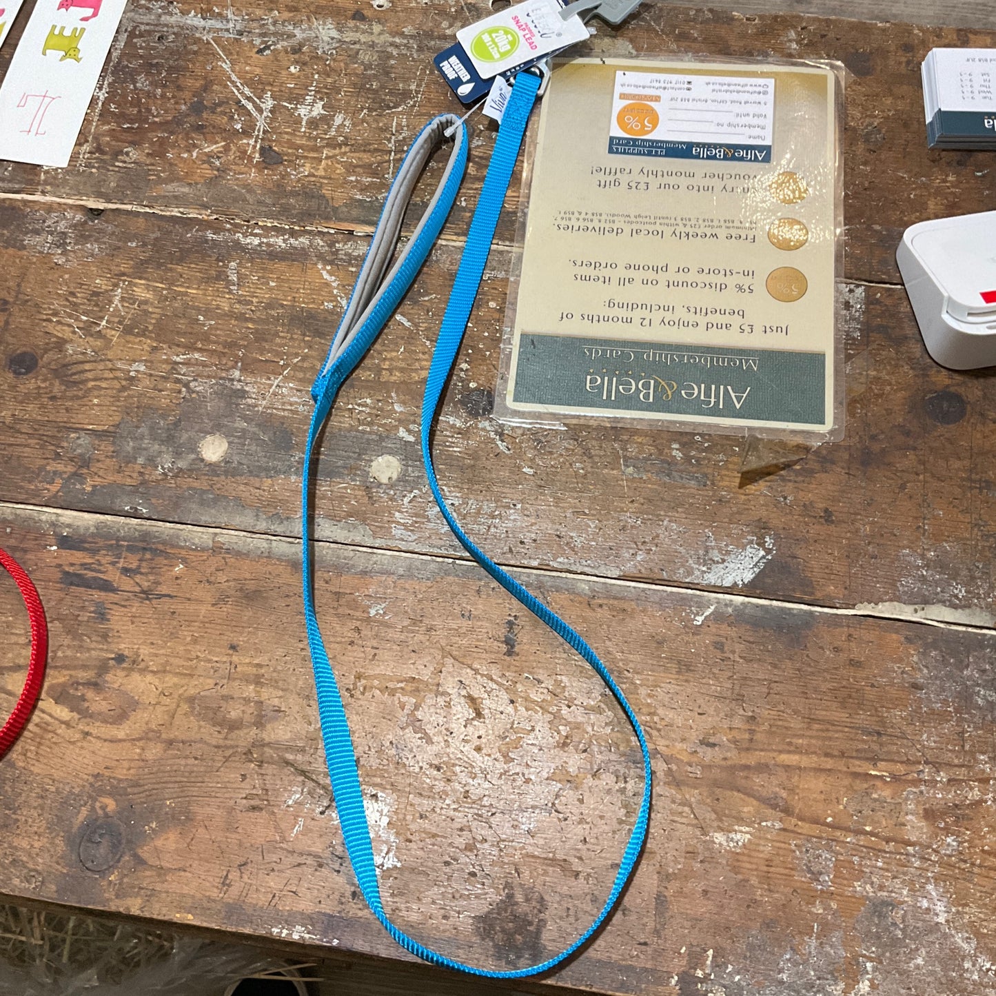 Ancol, Nylon Padded Lead, Turquoise