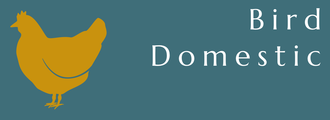 Bird - Domestic