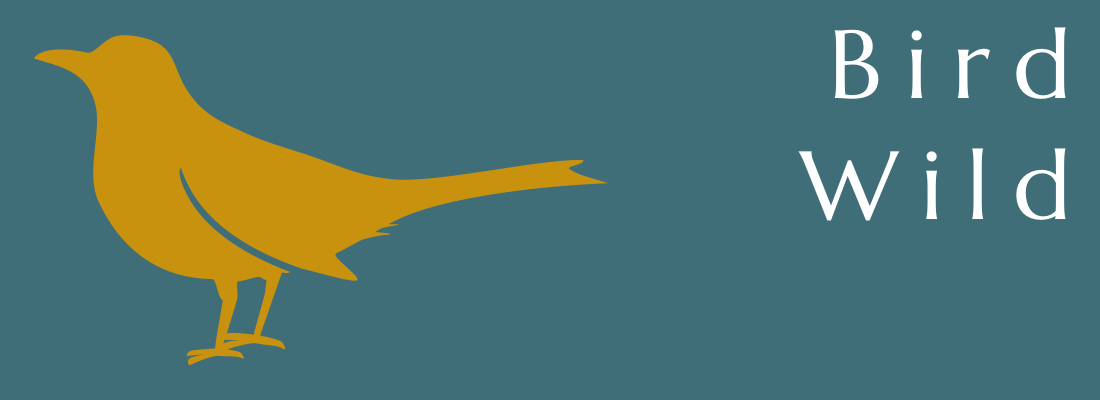 Bird - Wild