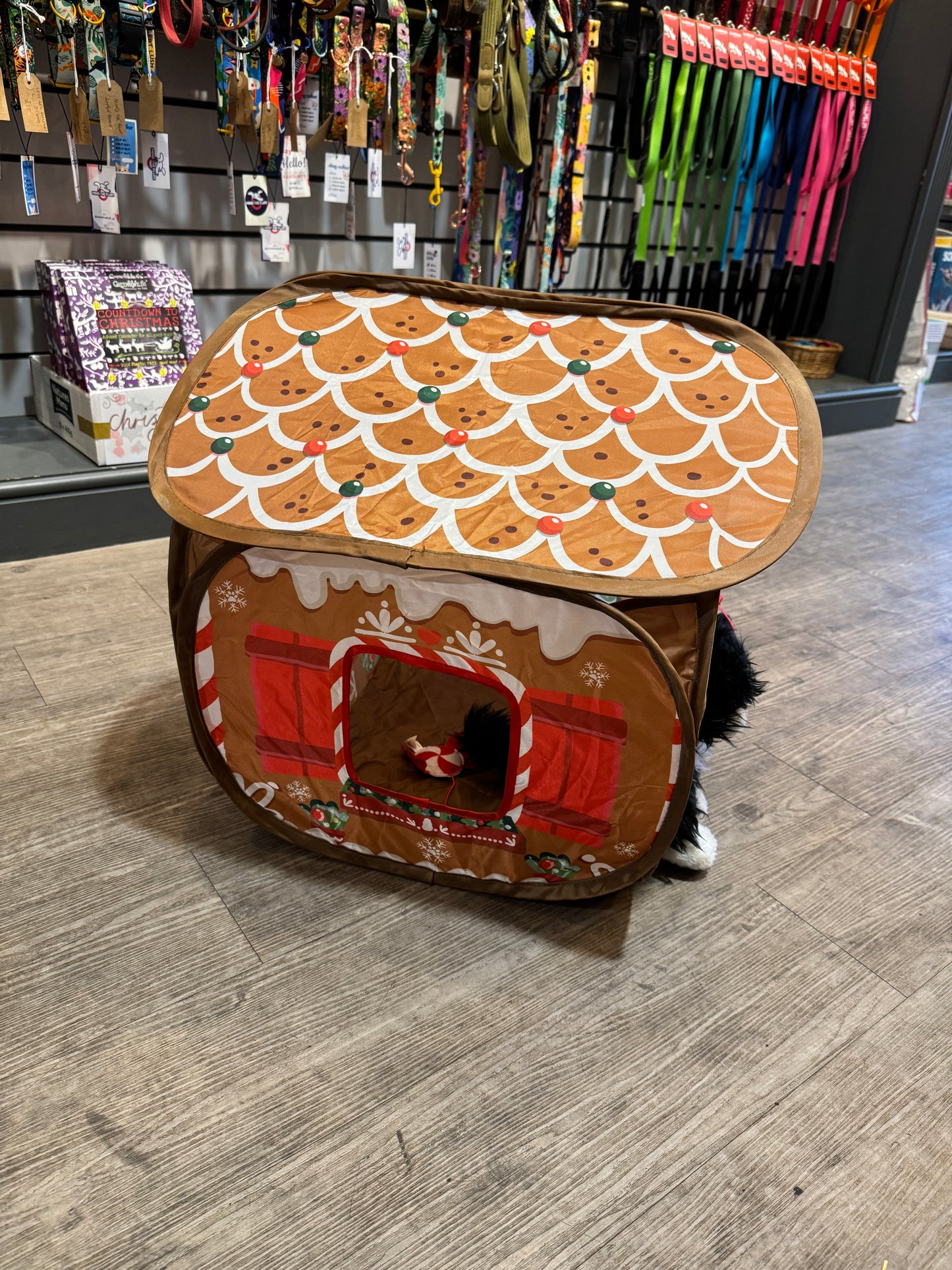 Kong, Holiday, Playspaces, Gingerbread house