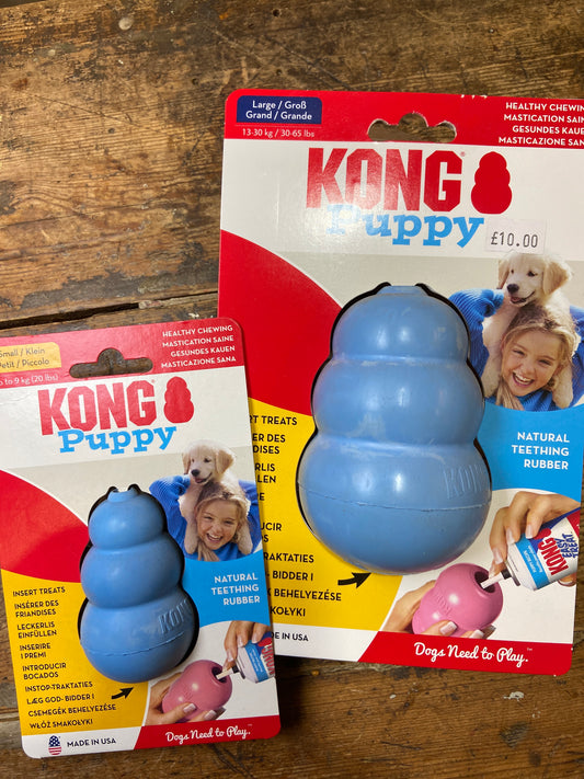 Kong, Puppy, Pink/Blue