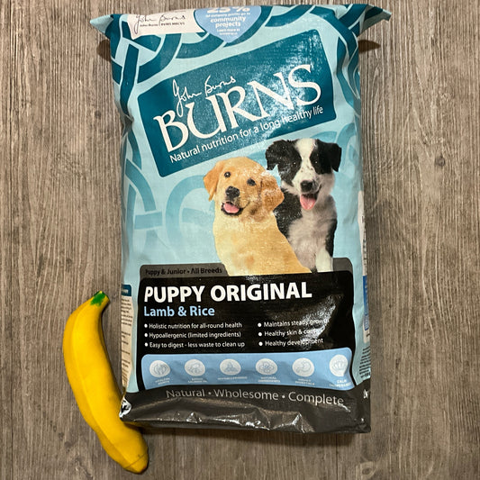 Burns, Puppy, Lamb & Rice