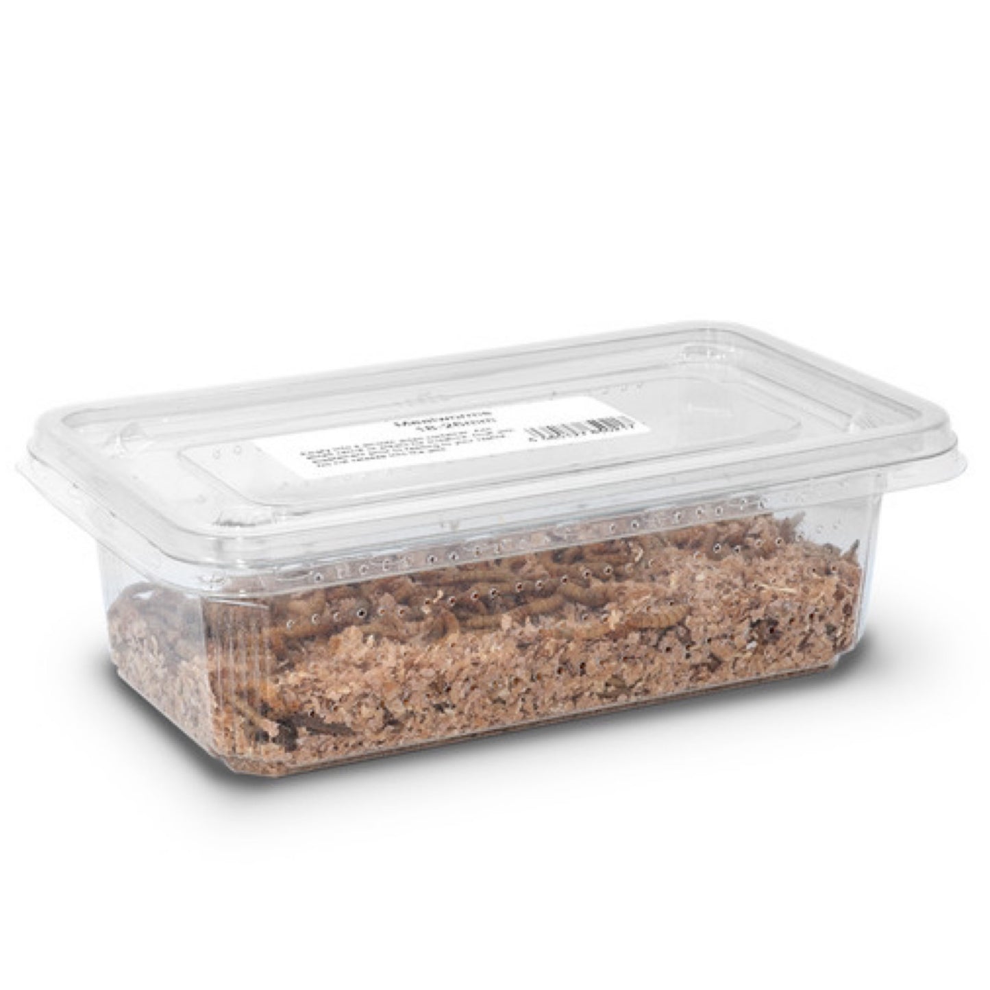 A&B, Live Mealworms