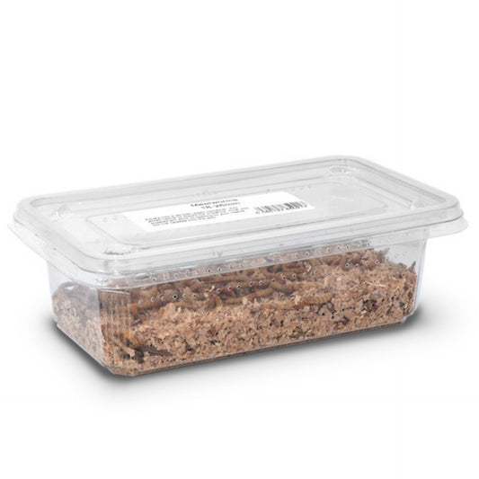 A&B, Live Mealworms