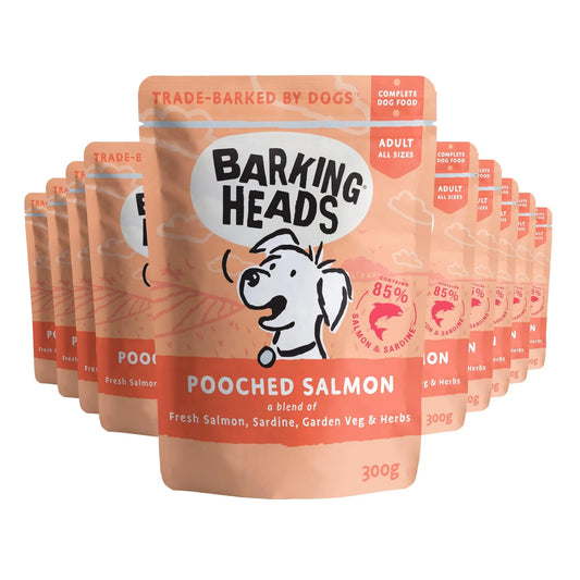 Barking Heads - Pooched Salmon Pouch Wet Dog Food 300g