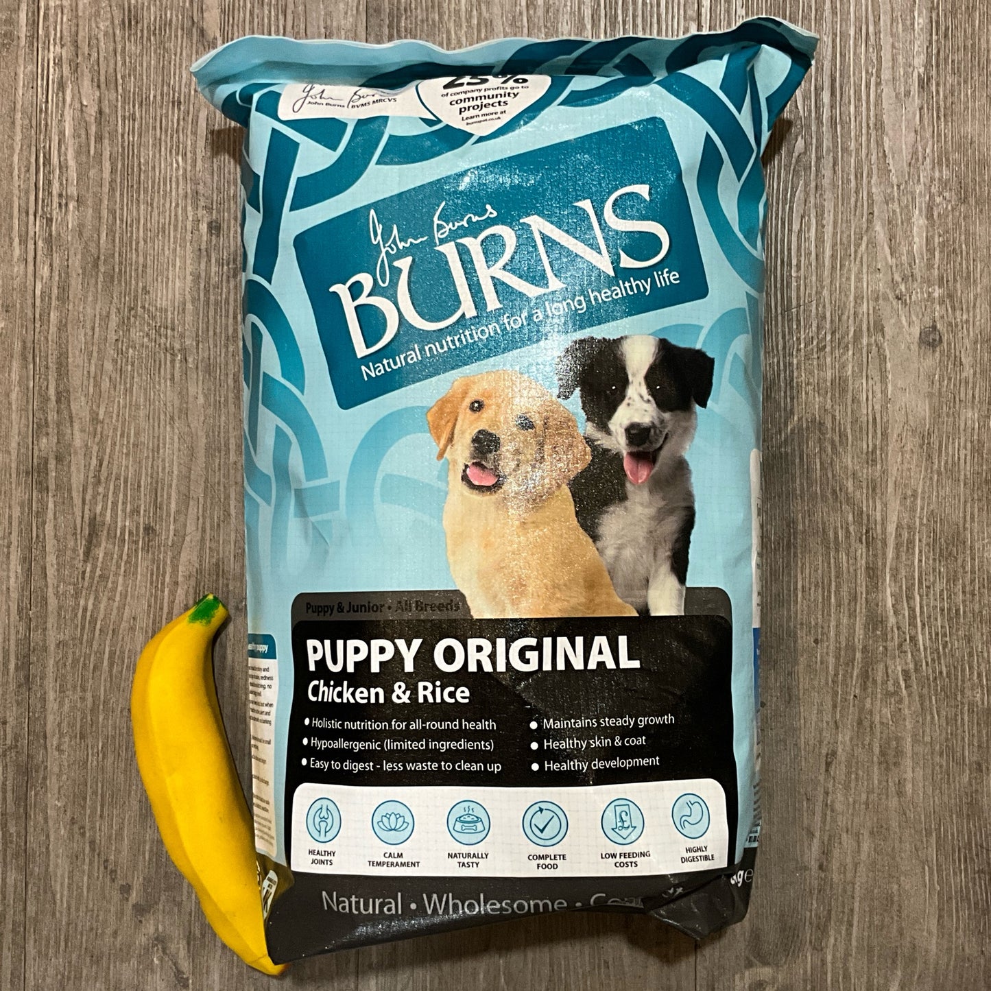 Burns, Puppy, Chicken & Rice