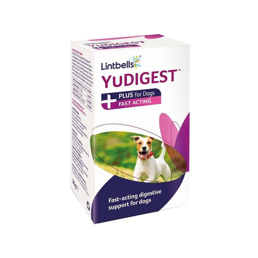 Lintbells Yumpro Bioactiv Plus Dog Pet Animal Cat & Dog Supplements